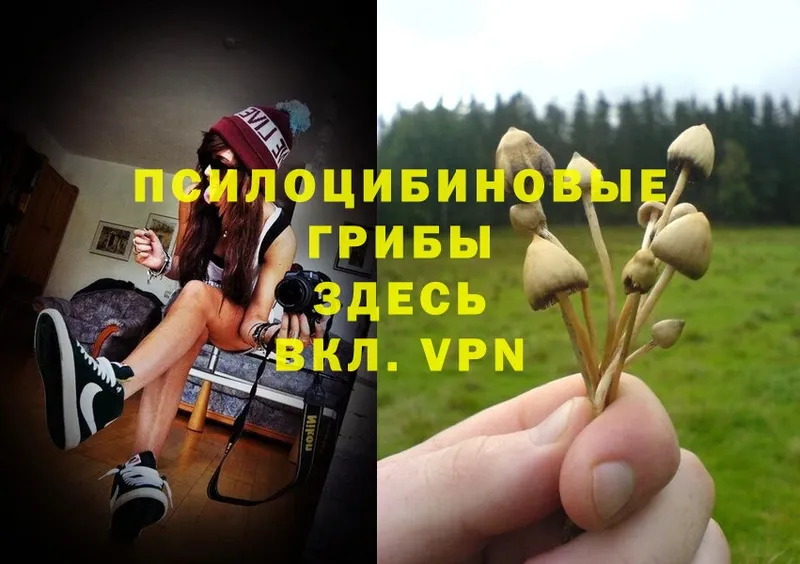 Галлюциногенные грибы MAGIC MUSHROOMS  Мураши 